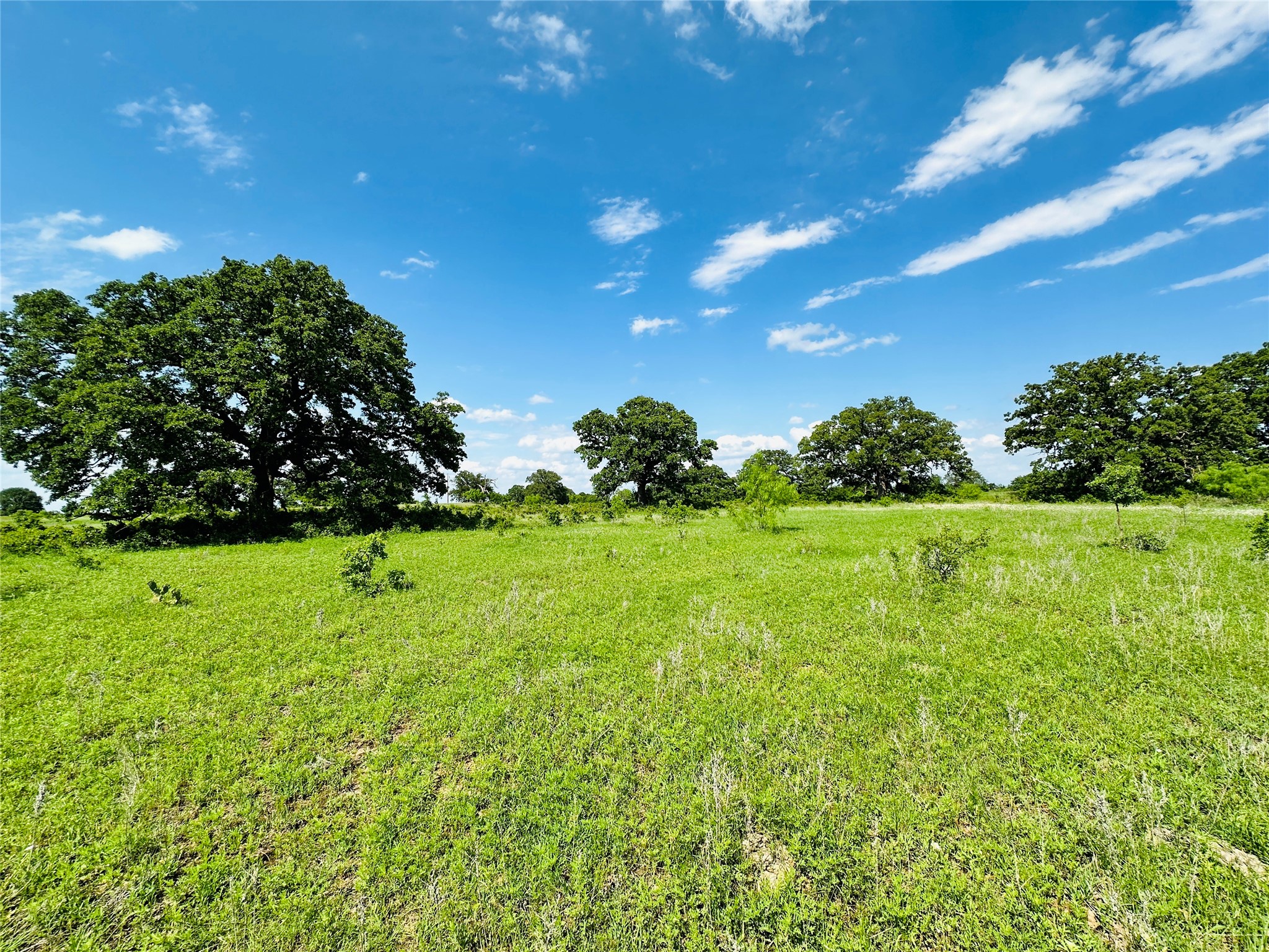 Tbd Cr 429 Cross Plains TX 76443