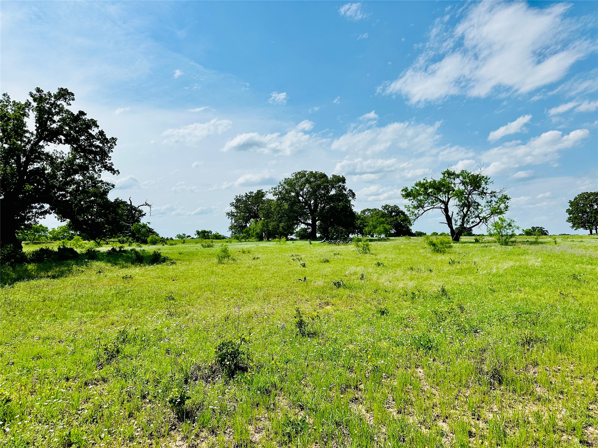 Tbd Cr 429 Cross Plains TX 76443