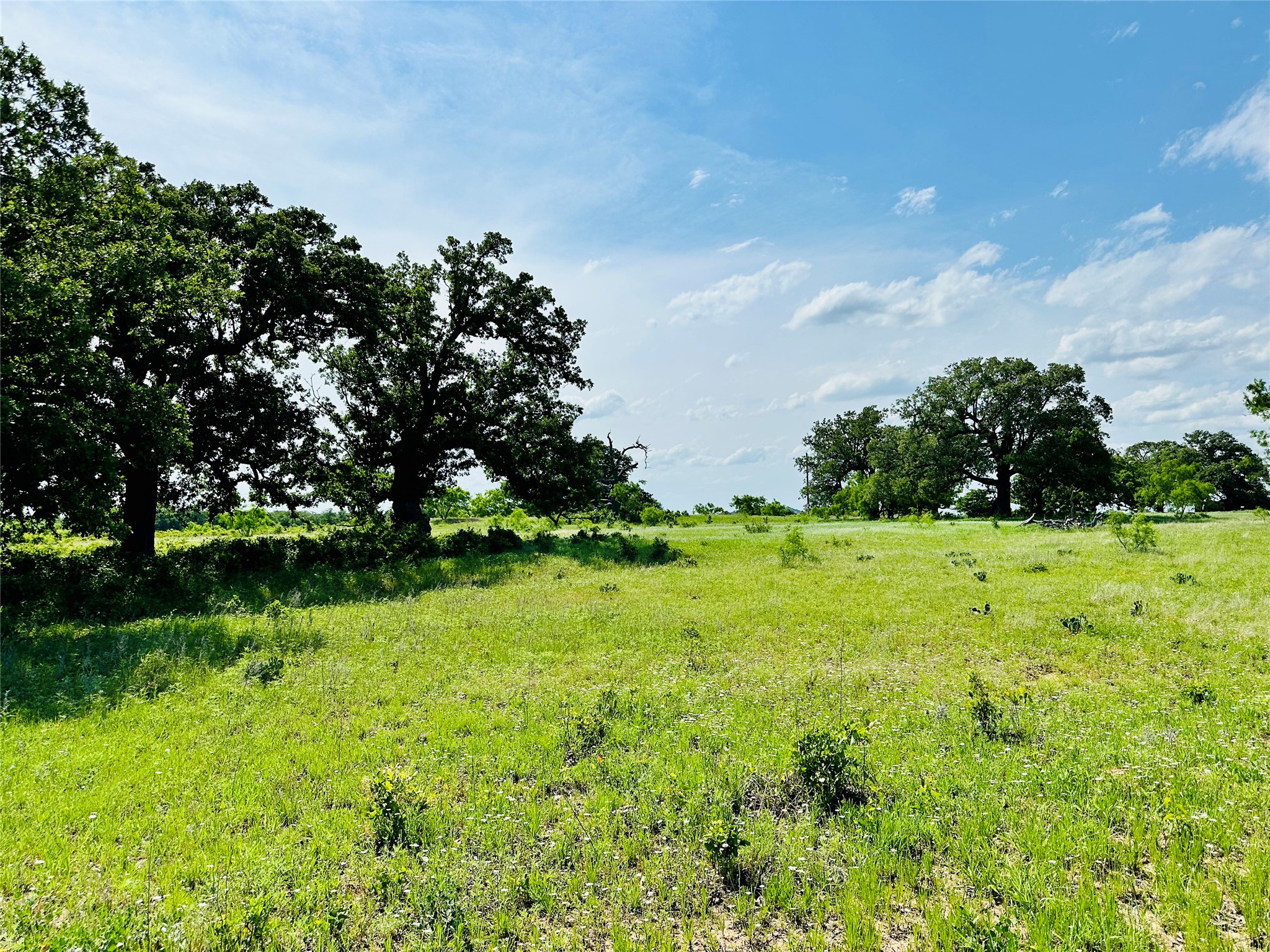 Tbd Cr 429 Cross Plains TX 76443
