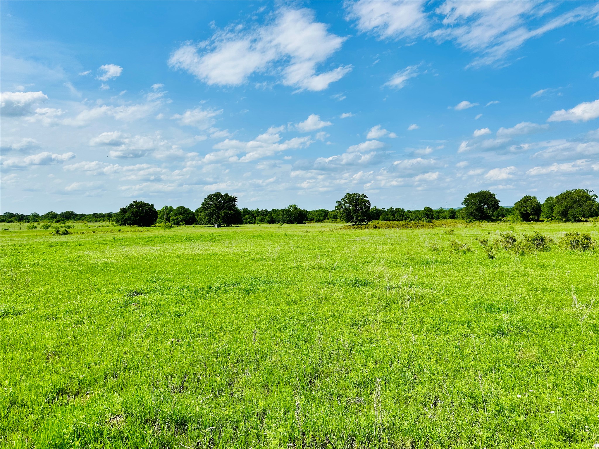 Tbd Cr 429 Cross Plains TX 76443