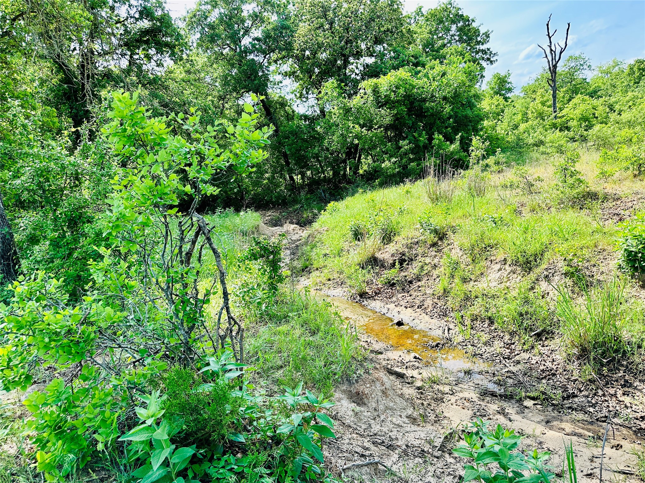 Tbd Cr 429 Cross Plains TX 76443