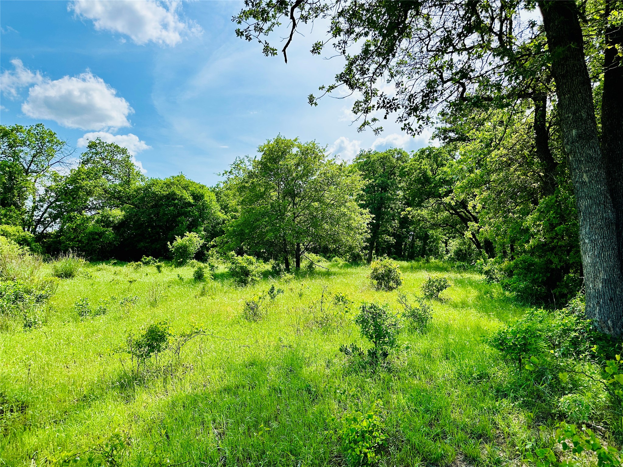 Tbd Cr 429 Cross Plains TX 76443