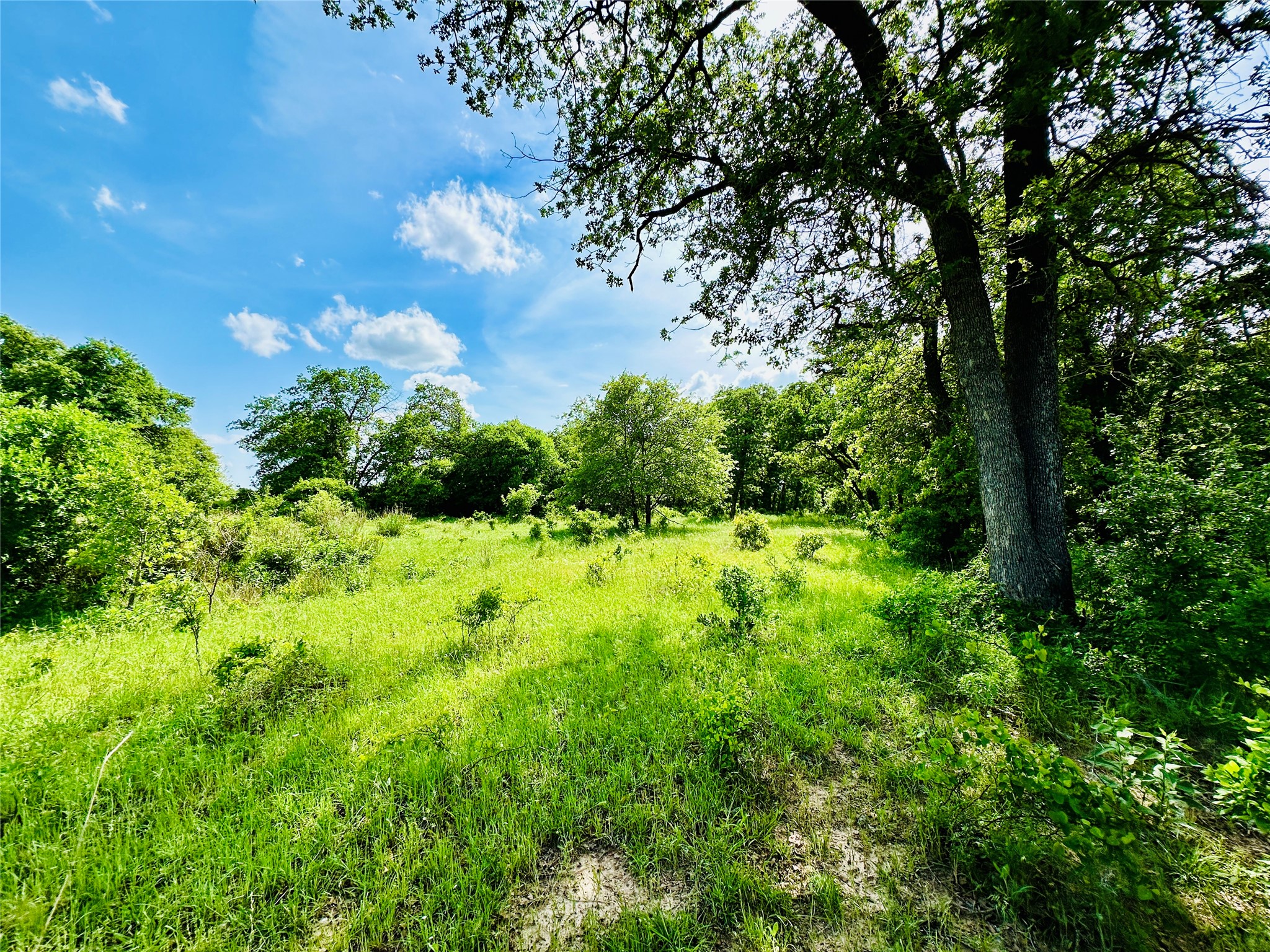 Tbd Cr 429 Cross Plains TX 76443