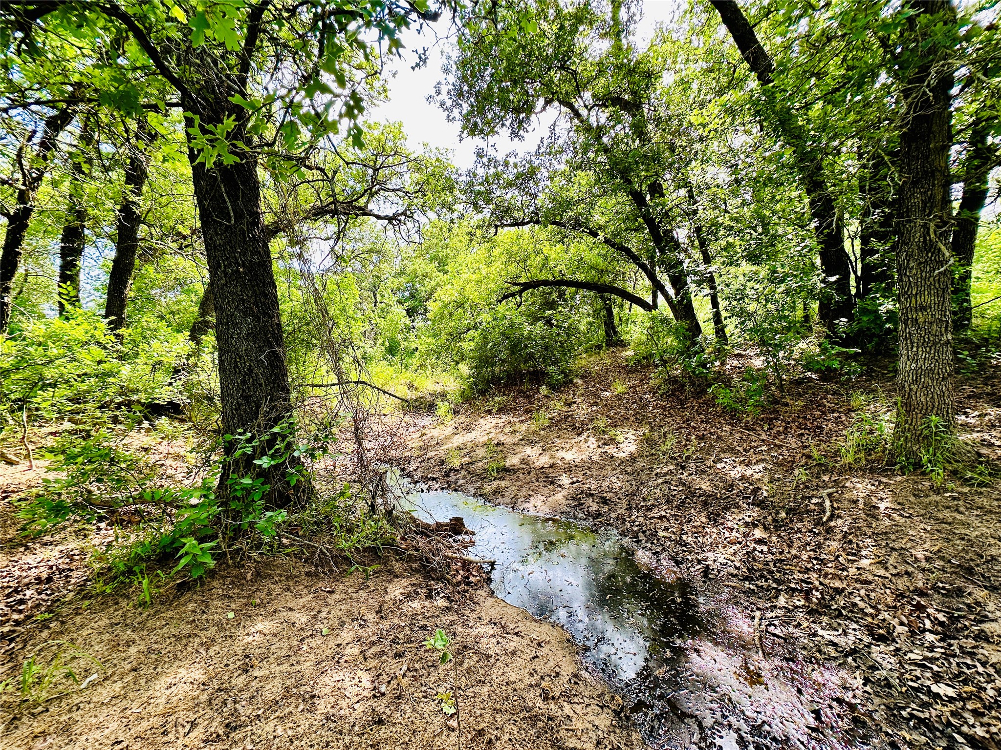 Tbd Cr 429 Cross Plains TX 76443