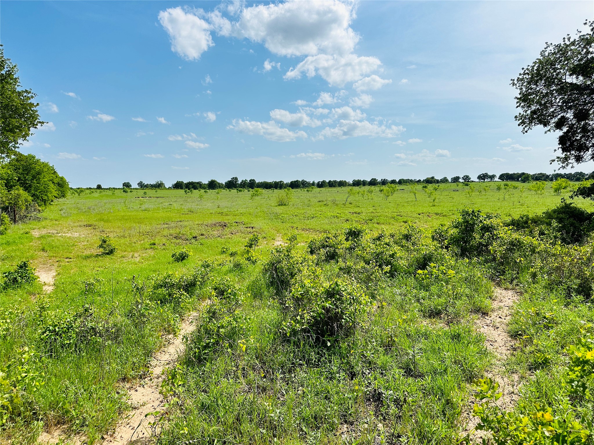 Tbd Cr 429 Cross Plains TX 76443