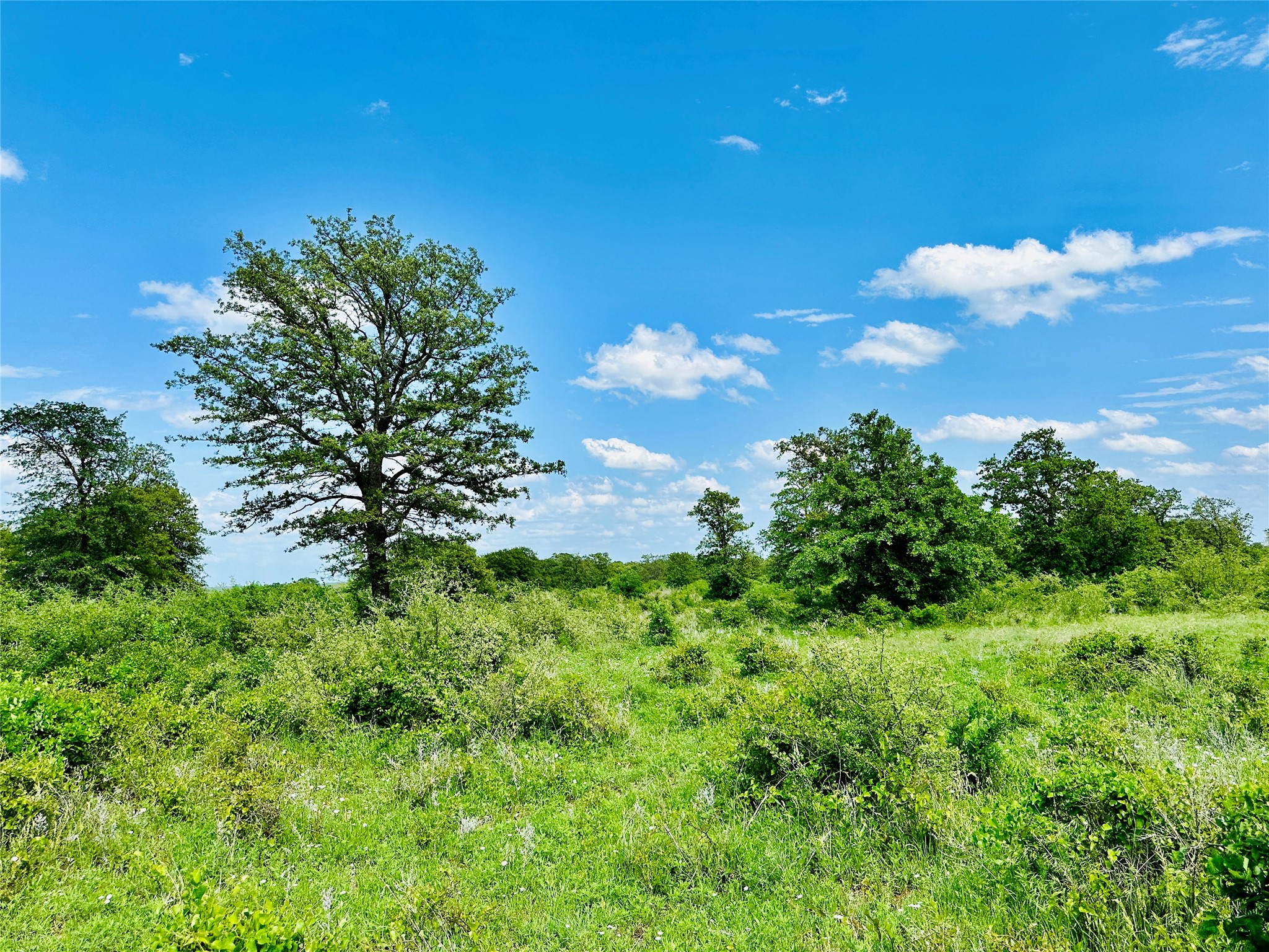 Tbd Cr 429 Cross Plains TX 76443