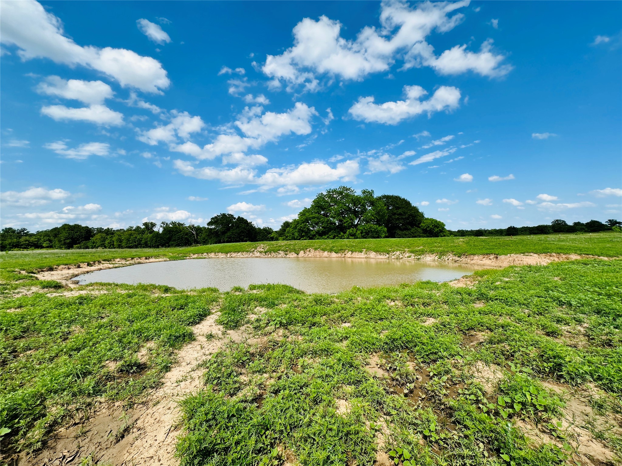 Tbd Cr 429 Cross Plains TX 76443