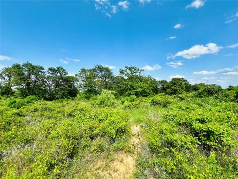 Tbd Cr 429 Cross Plains TX 76443