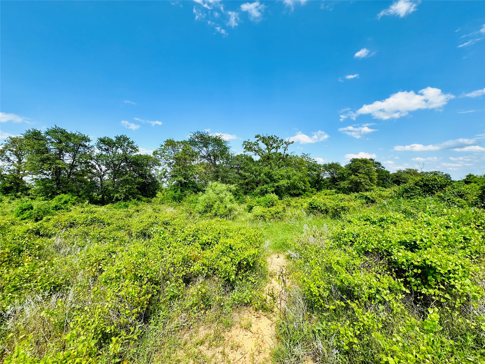 Tbd Cr 429 Cross Plains TX 76443