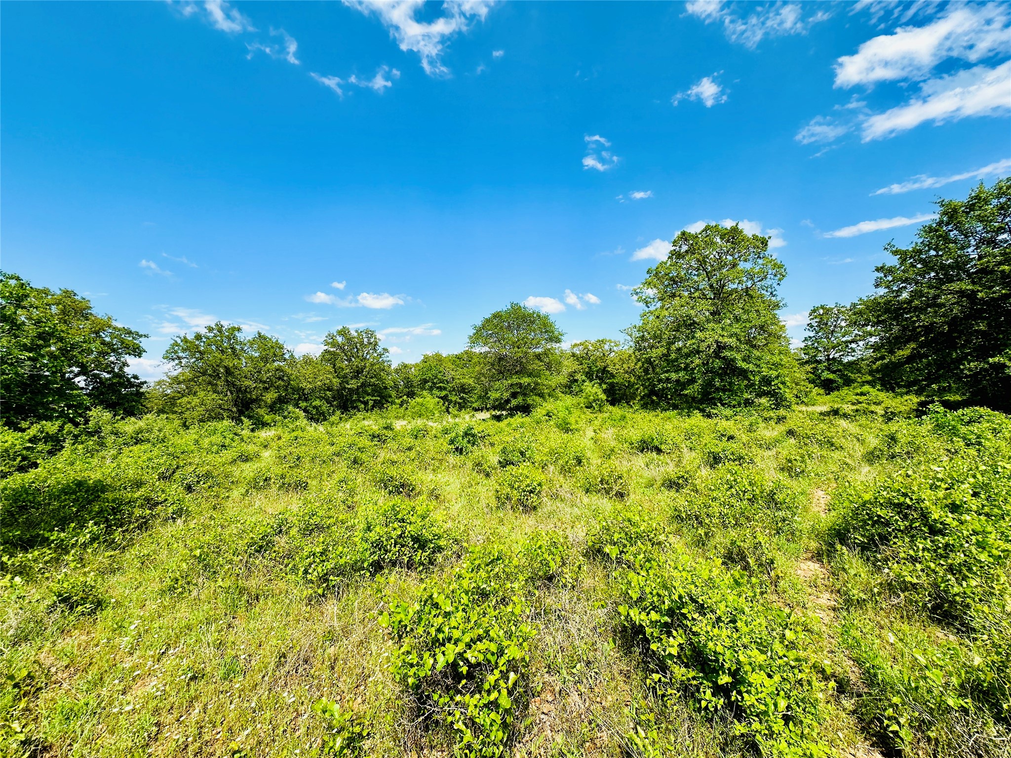 Tbd Cr 429 Cross Plains TX 76443