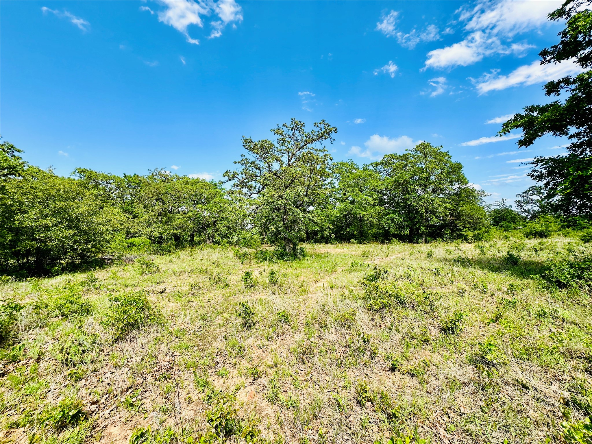 Tbd Cr 429 Cross Plains TX 76443
