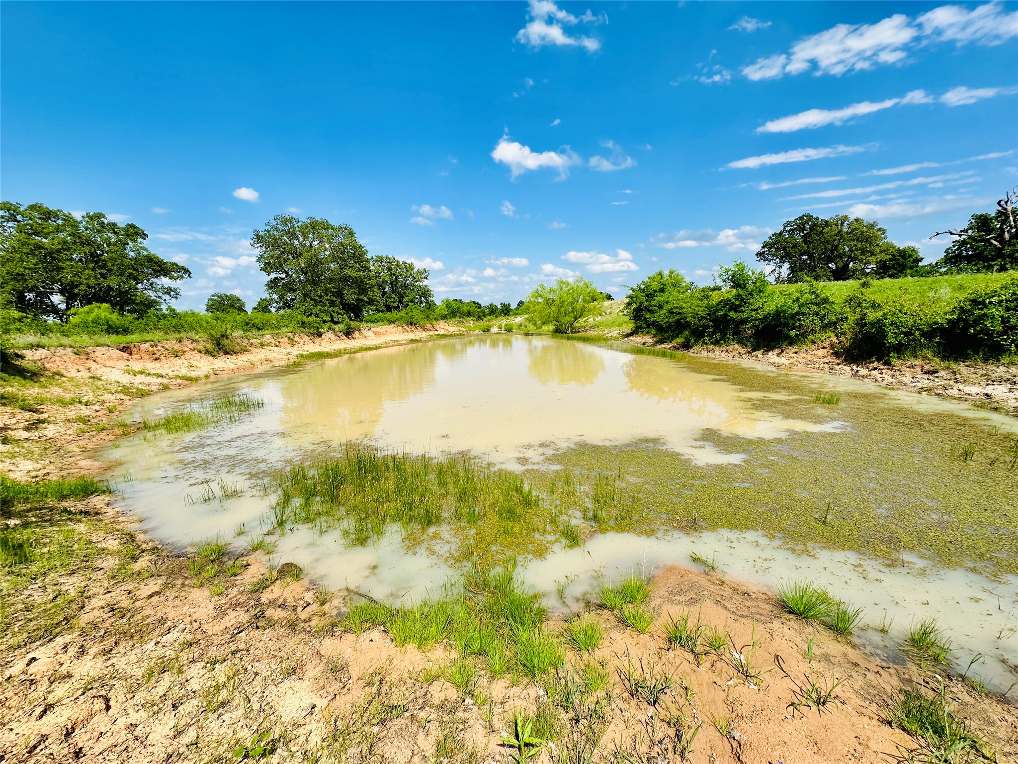 Tbd Cr 429 Cross Plains TX 76443