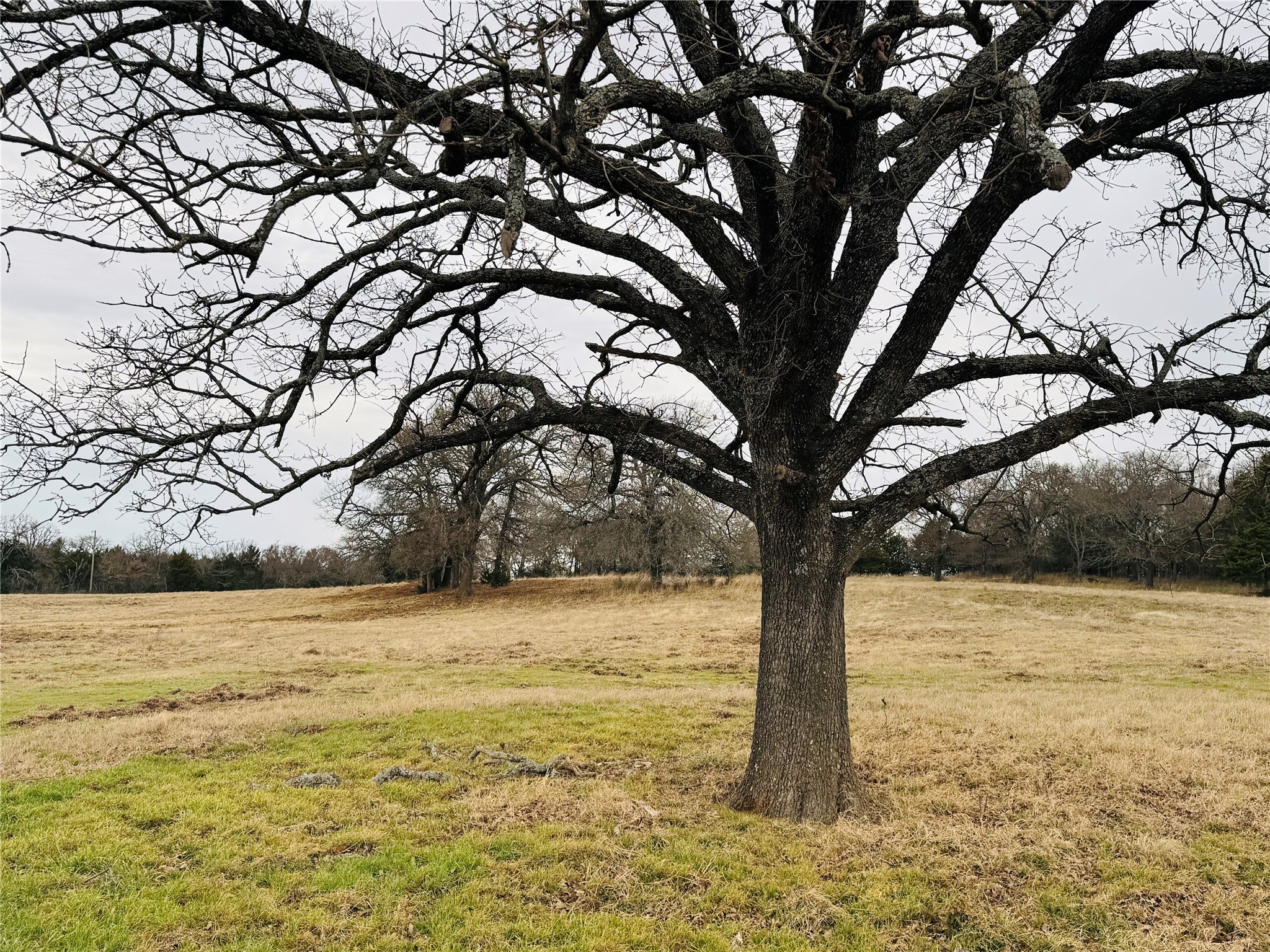 693 Gilbreath Road Sadler TX 76264