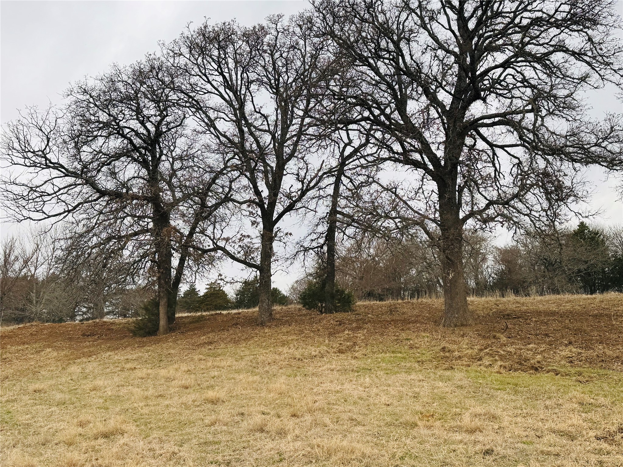 693 Gilbreath Road Sadler TX 76264