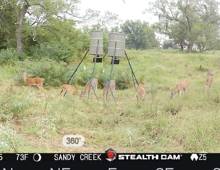 693 Gilbreath Road Sadler TX 76264