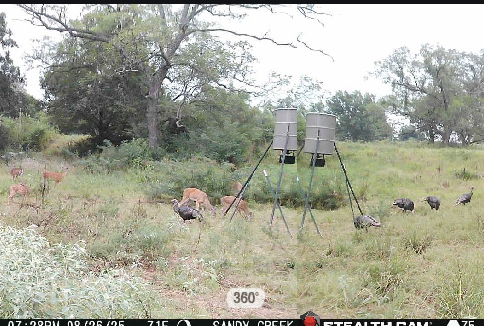 693 Gilbreath Road Sadler TX 76264