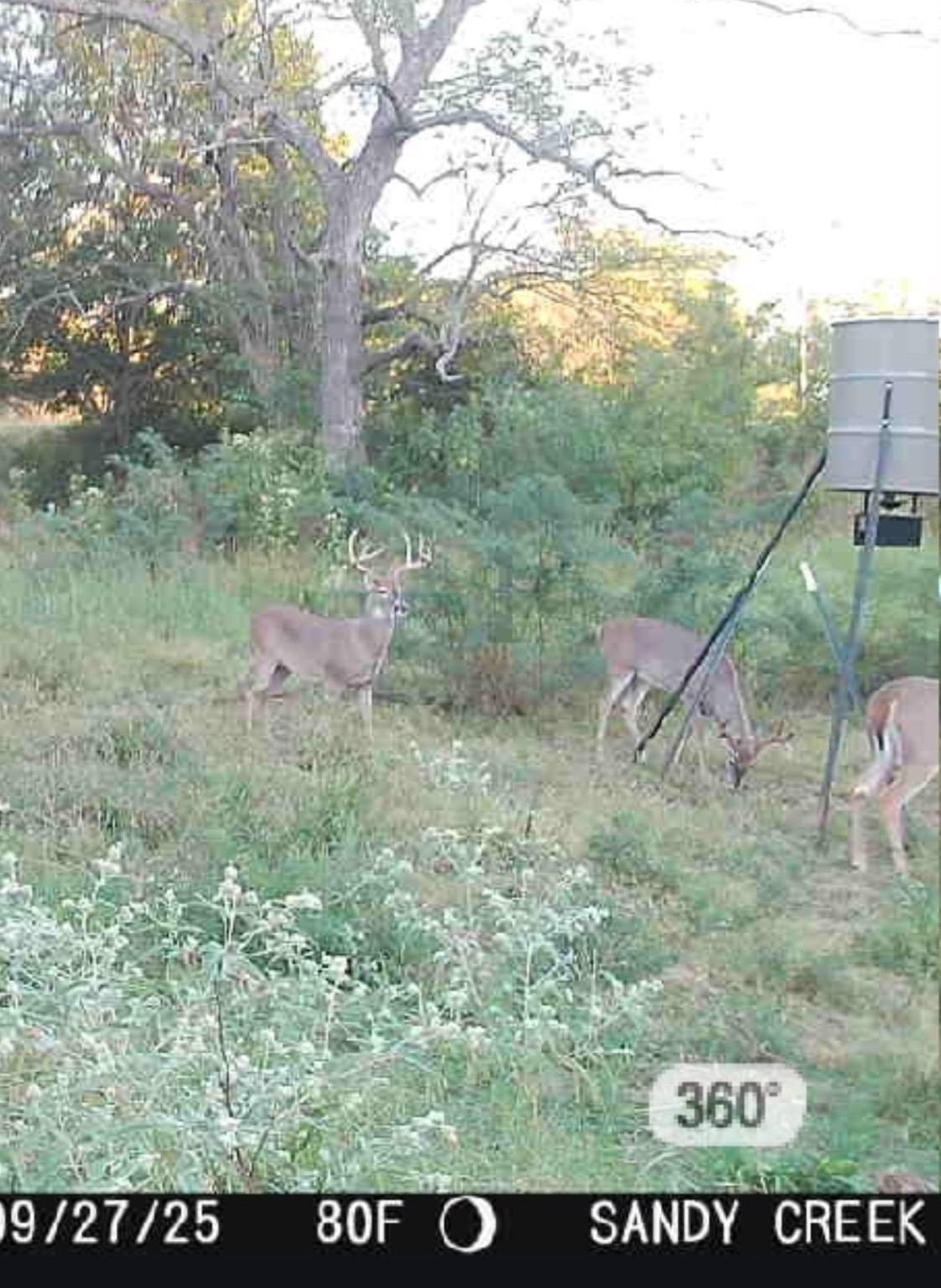 693 Gilbreath Road Sadler TX 76264