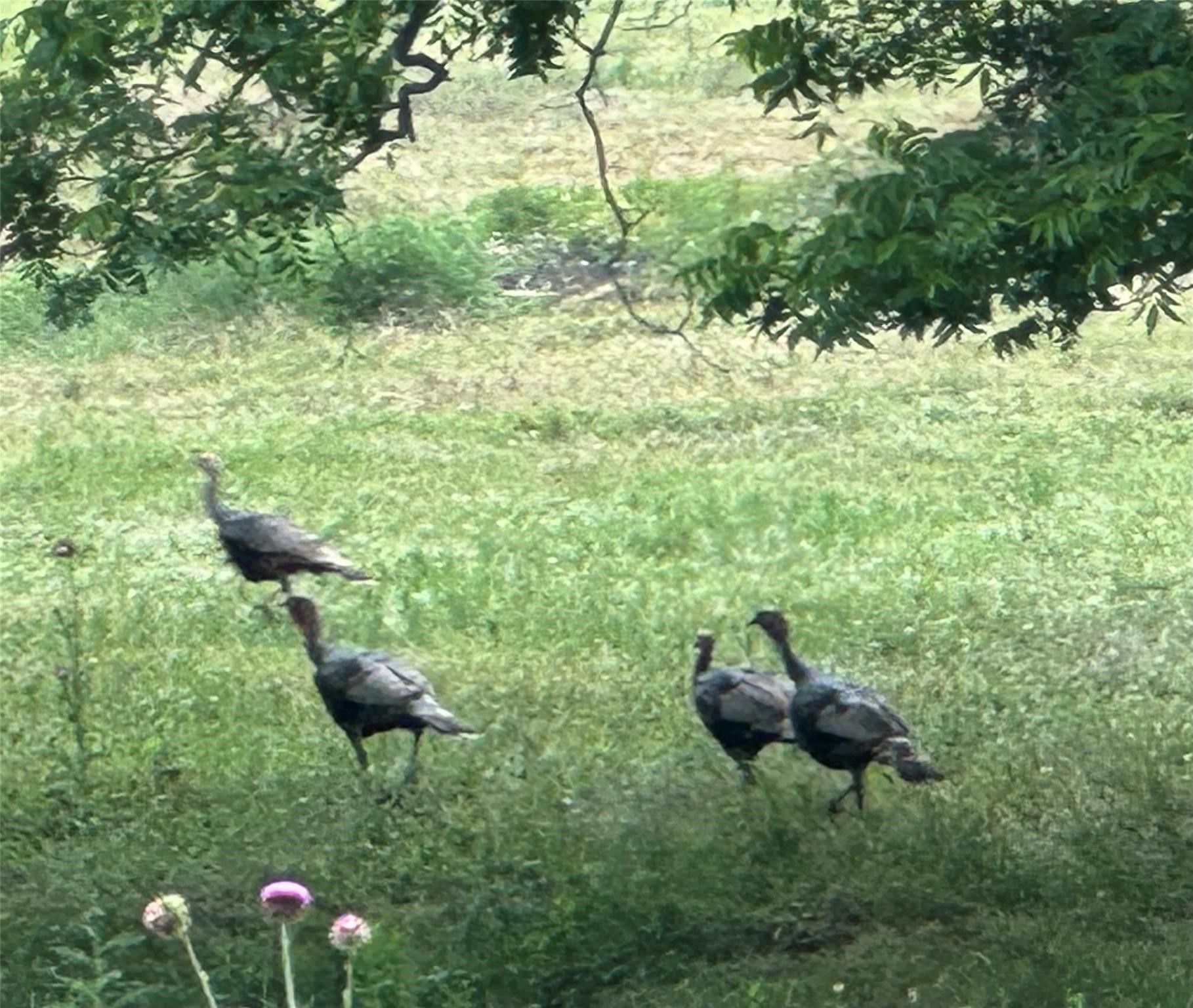 693 Gilbreath Road Sadler TX 76264