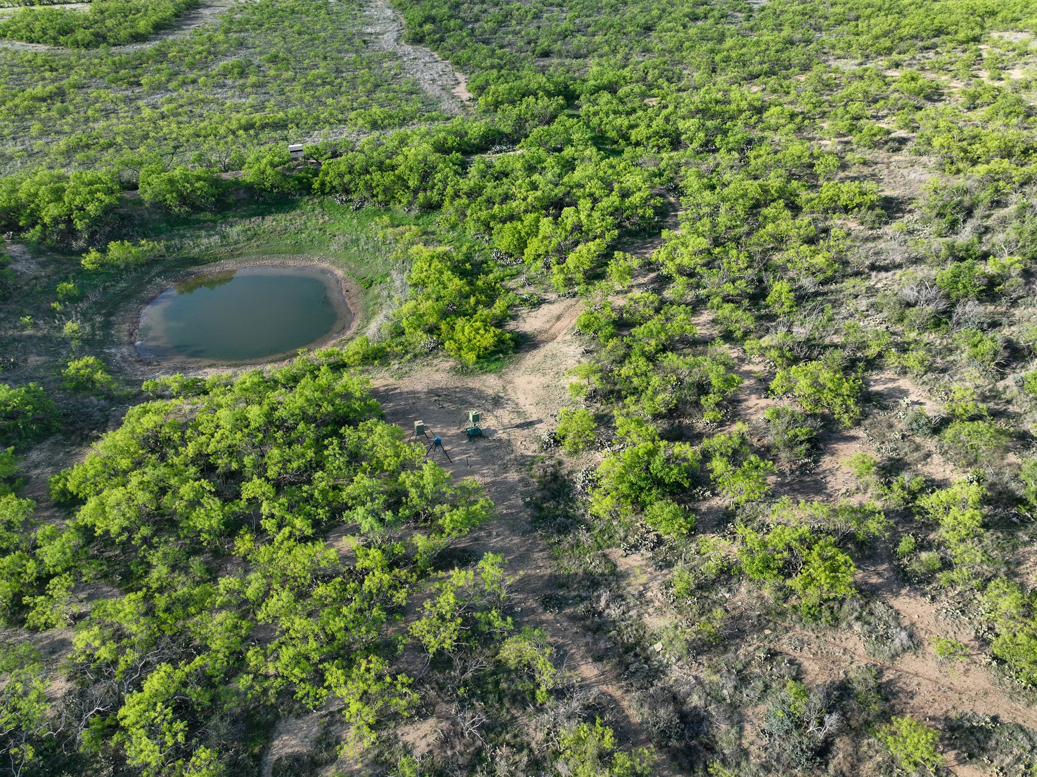 1124 County Road 322 Voss TX 76888