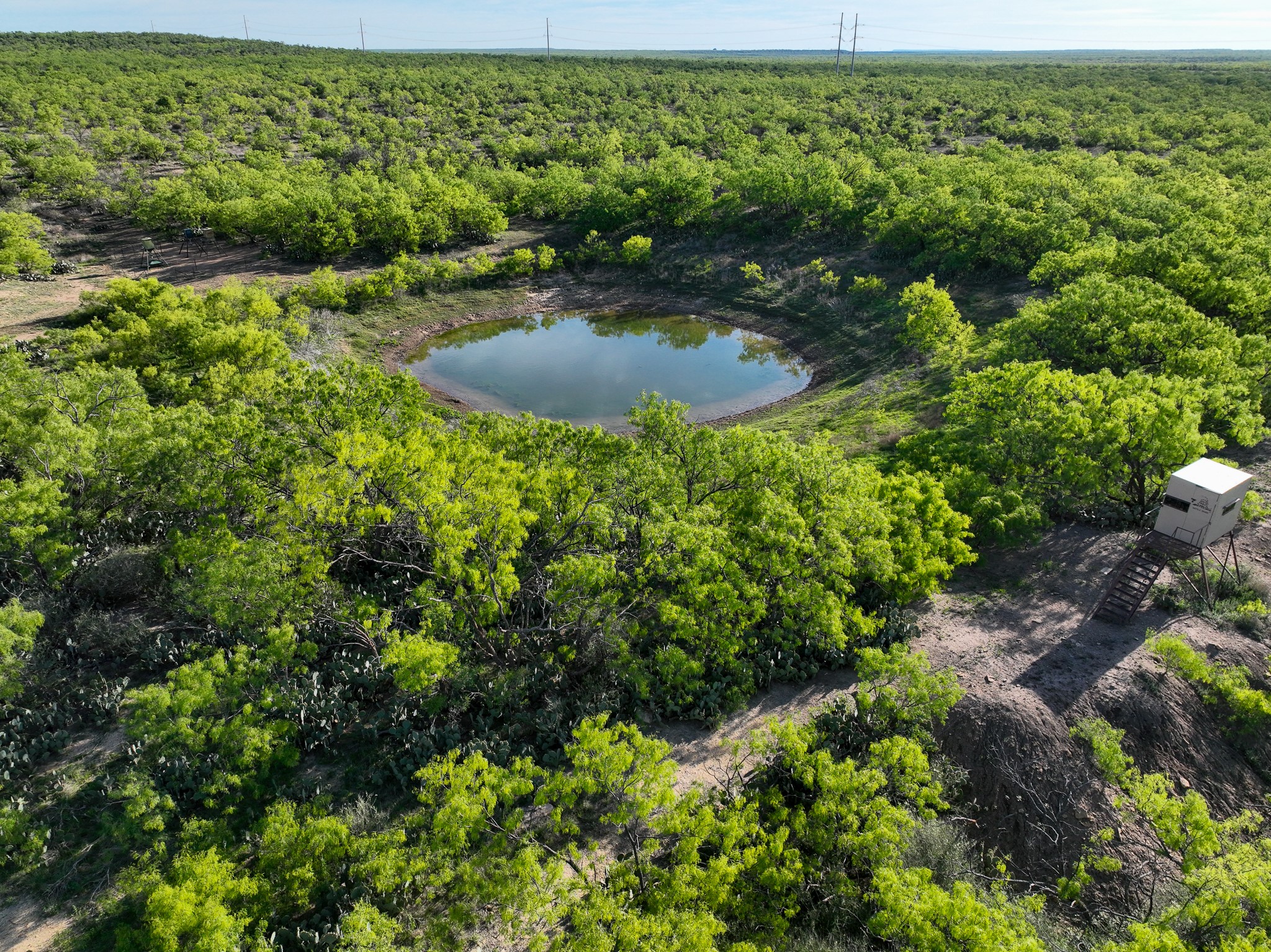 1124 County Road 322 Voss TX 76888