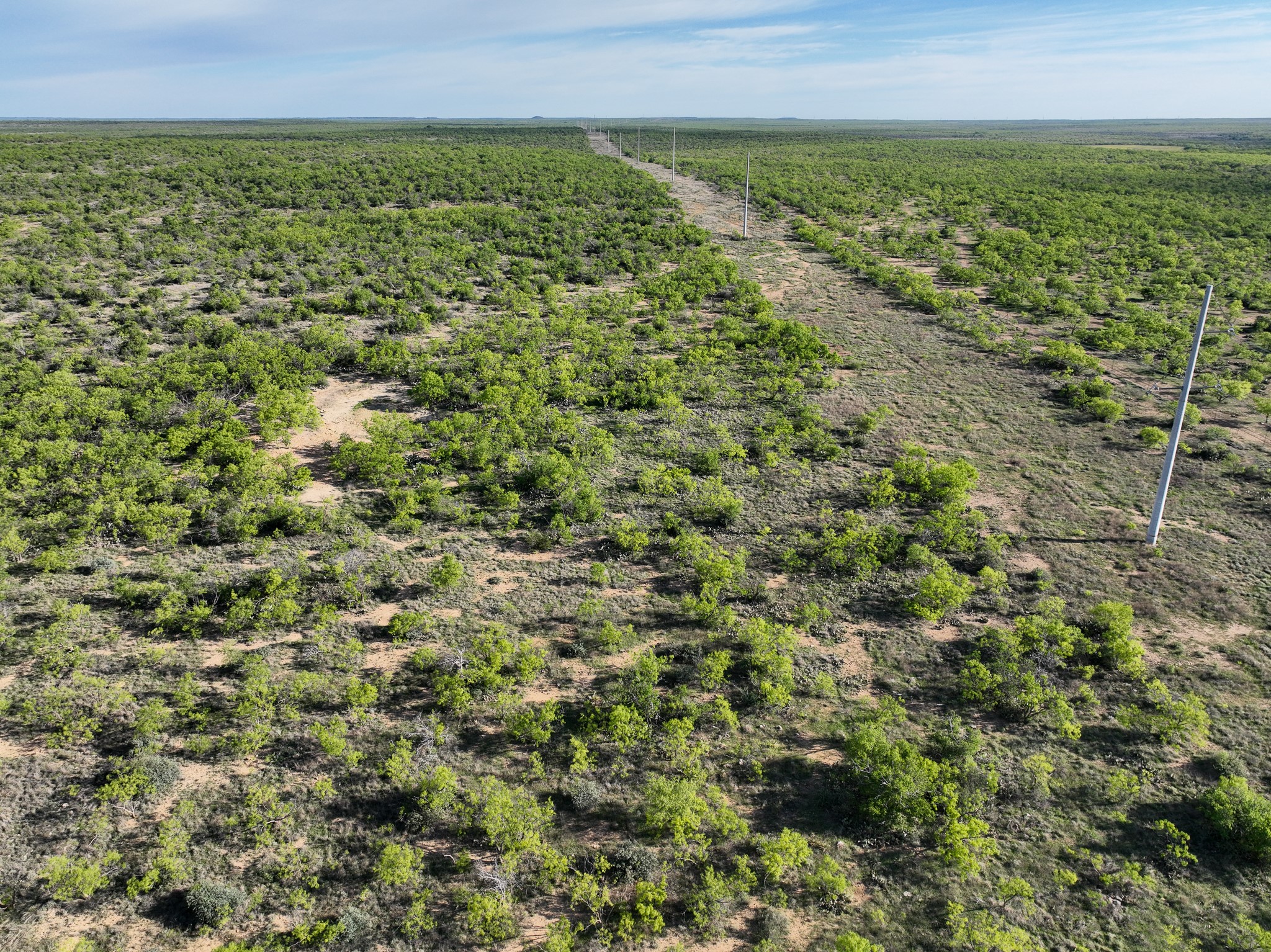 1124 County Road 322 Voss TX 76888