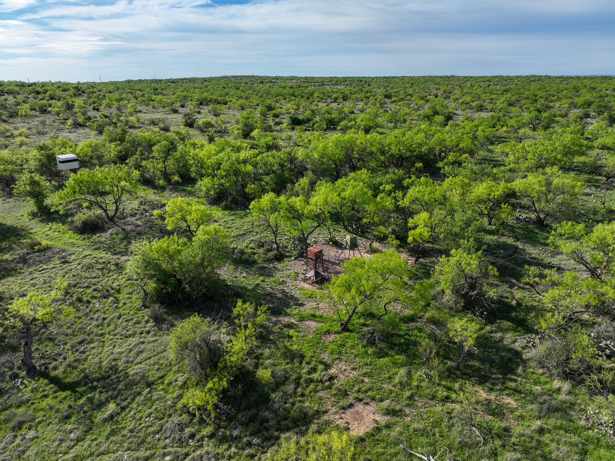 1124 County Road 322 Voss TX 76888