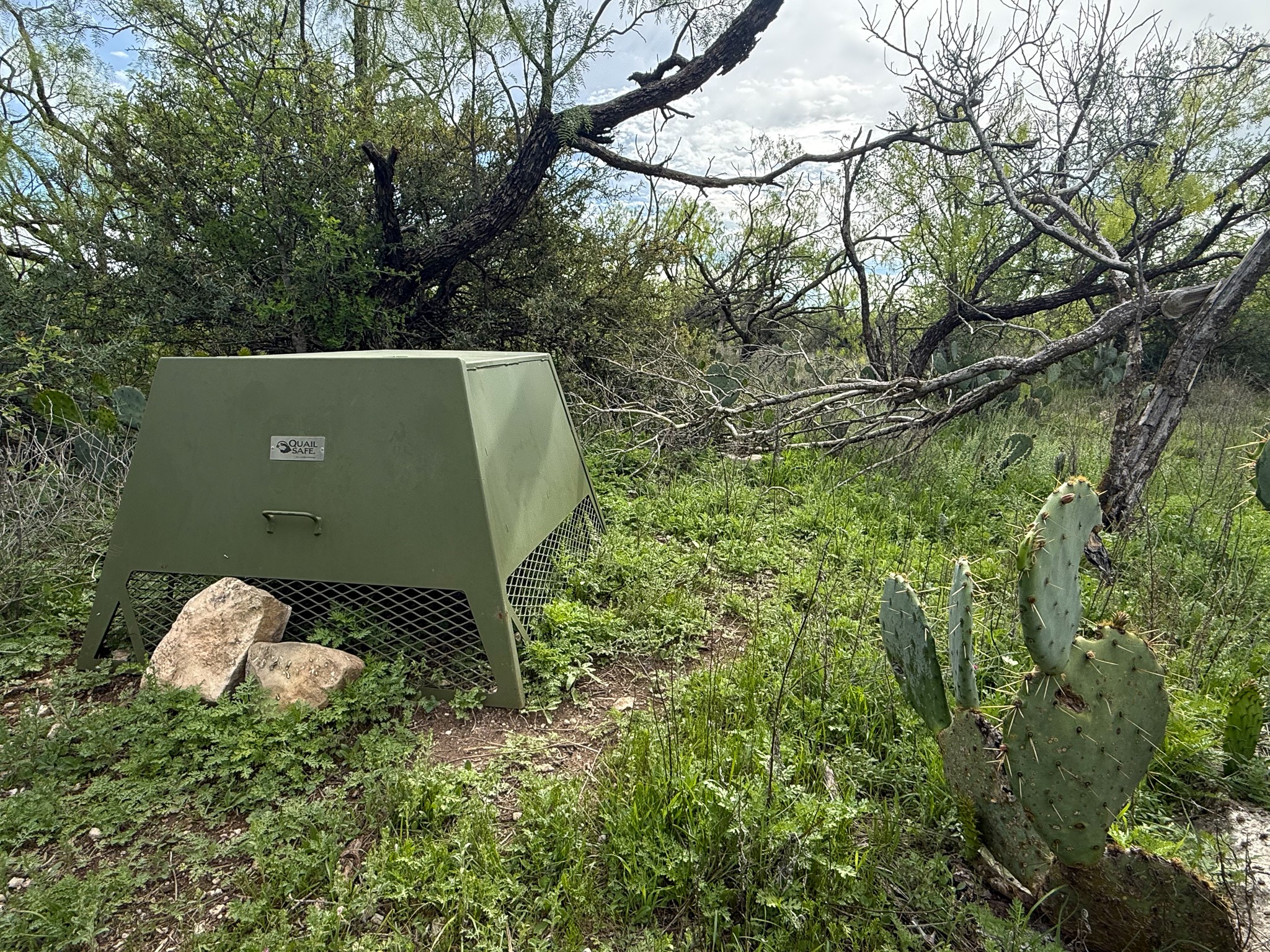 1124 County Road 322 Voss TX 76888