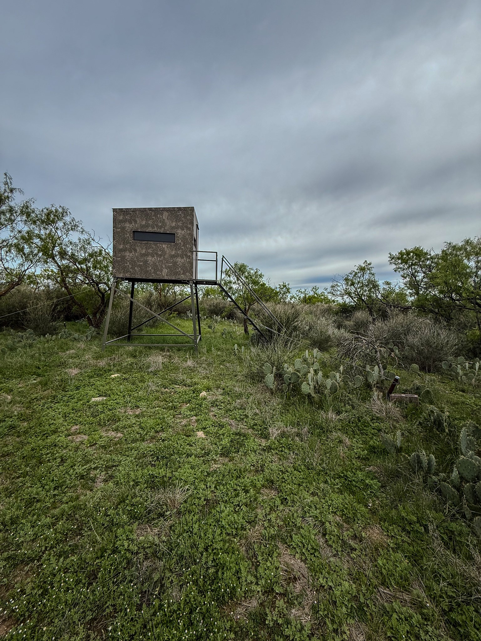 1124 County Road 322 Voss TX 76888