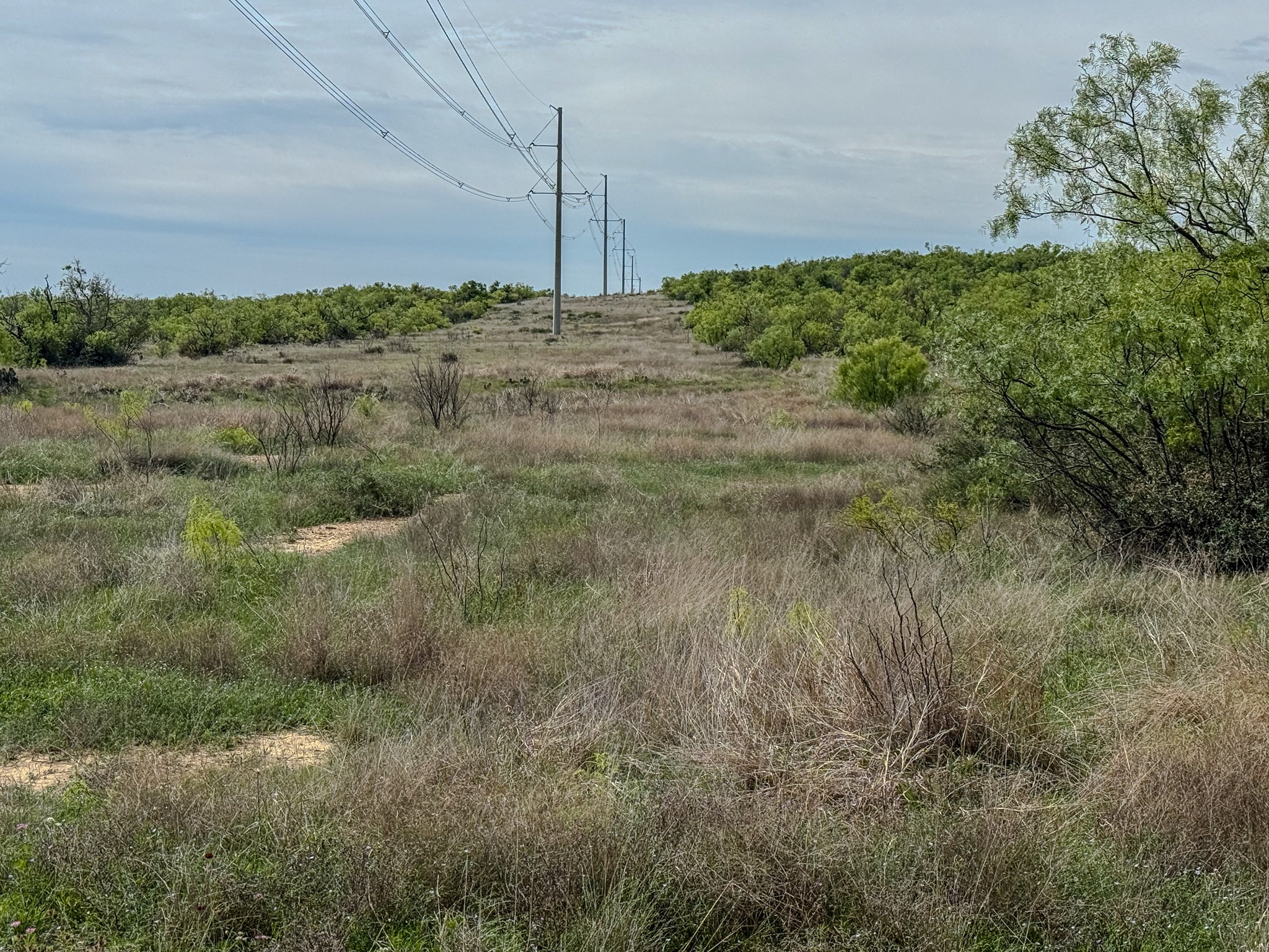 1124 County Road 322 Voss TX 76888