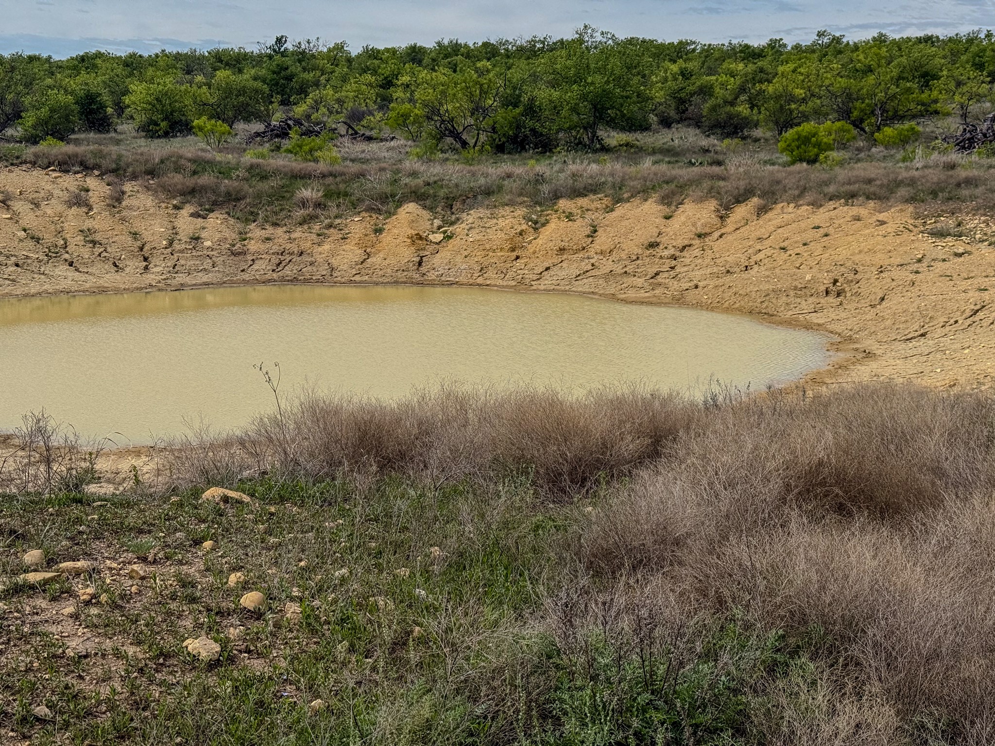 1124 County Road 322 Voss TX 76888