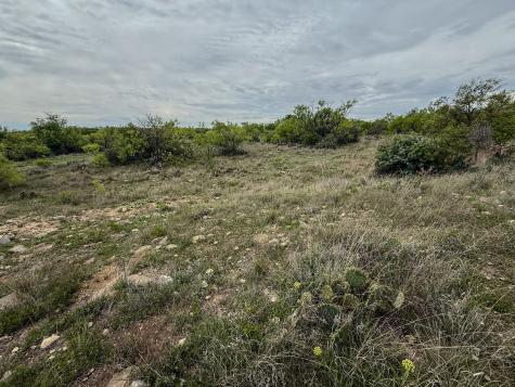 1124 County Road 322 Voss TX 76888