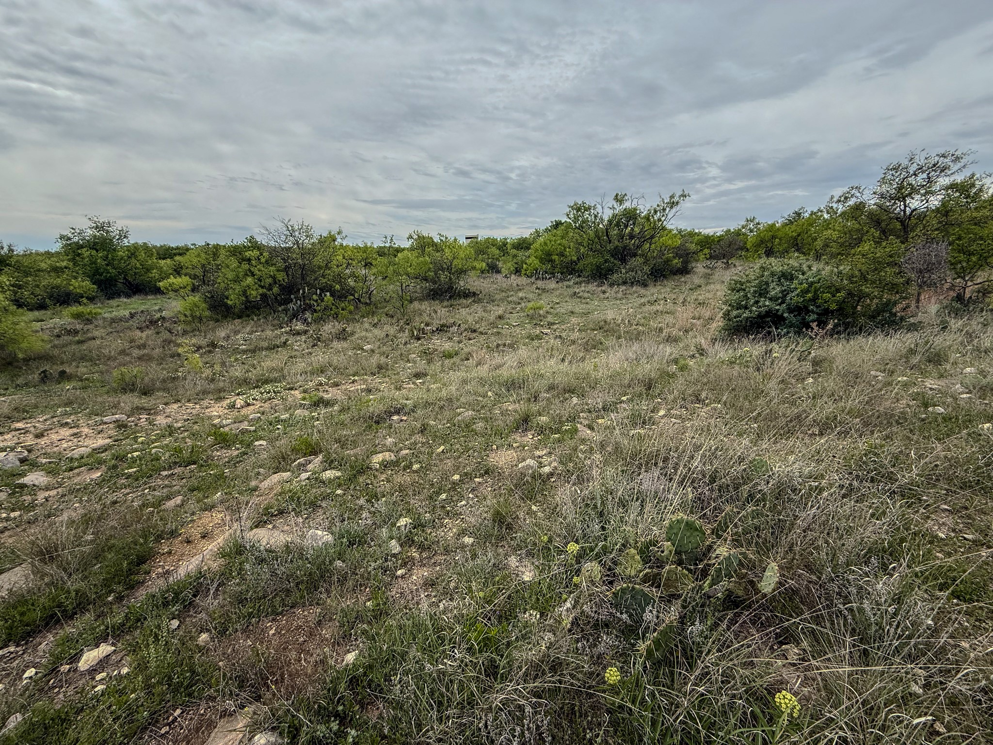 1124 County Road 322 Voss TX 76888