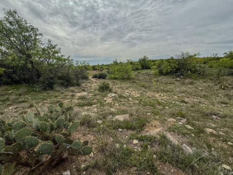 1124 County Road 322 Voss TX 76888