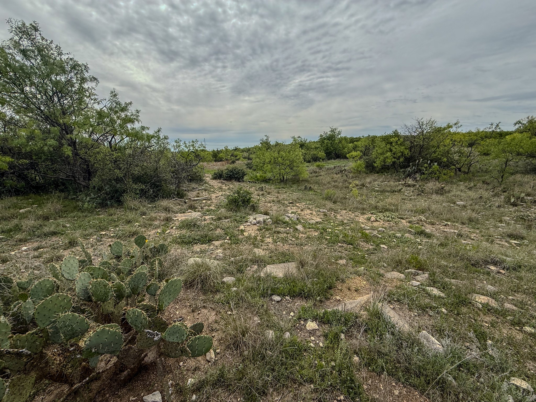1124 County Road 322 Voss TX 76888