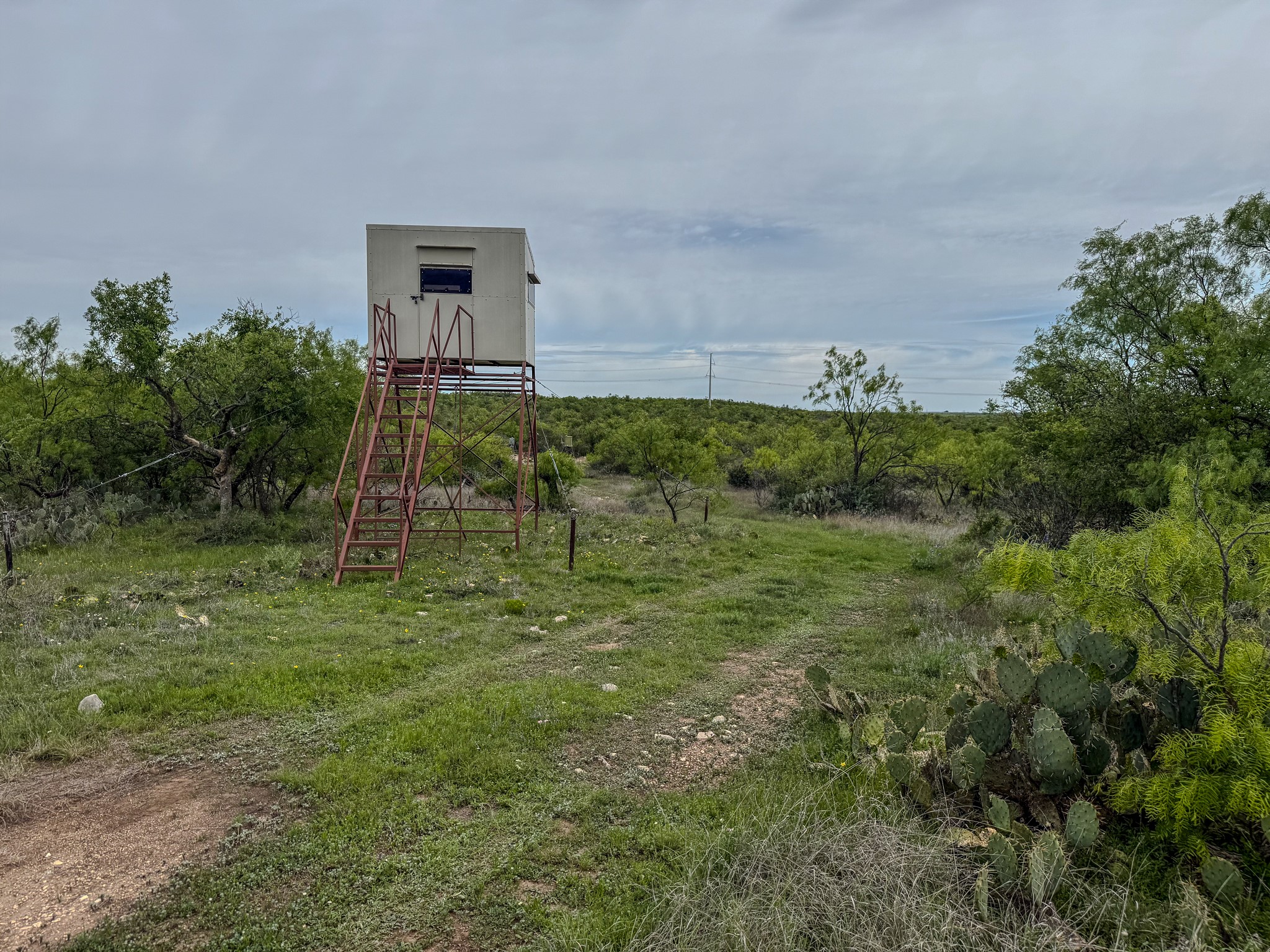 1124 County Road 322 Voss TX 76888