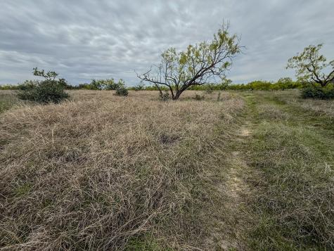 1124 County Road 322 Voss TX 76888