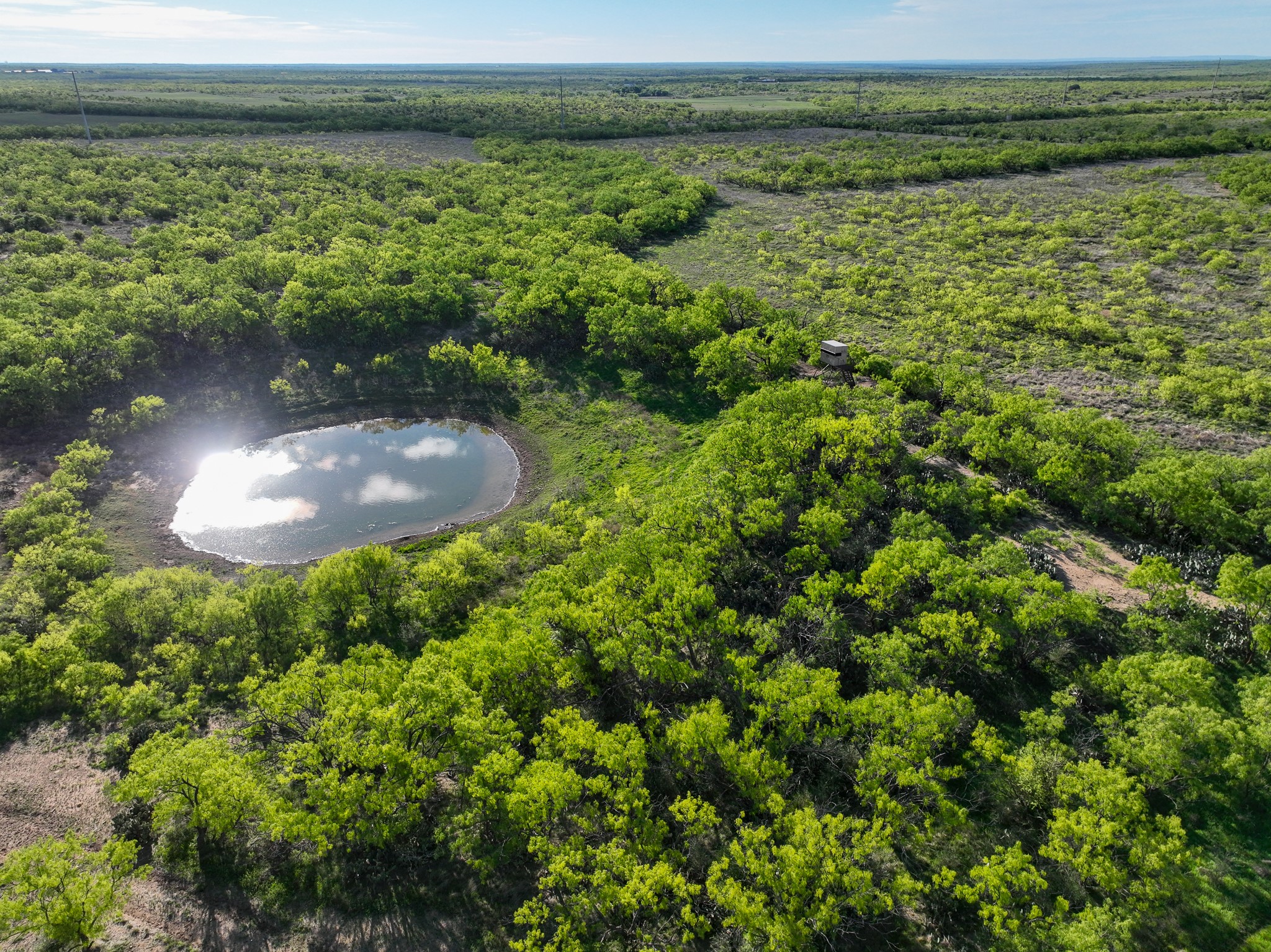 1124 County Road 322 Voss TX 76888