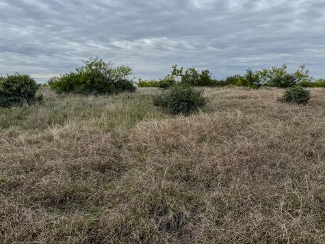 1124 County Road 322 Voss TX 76888