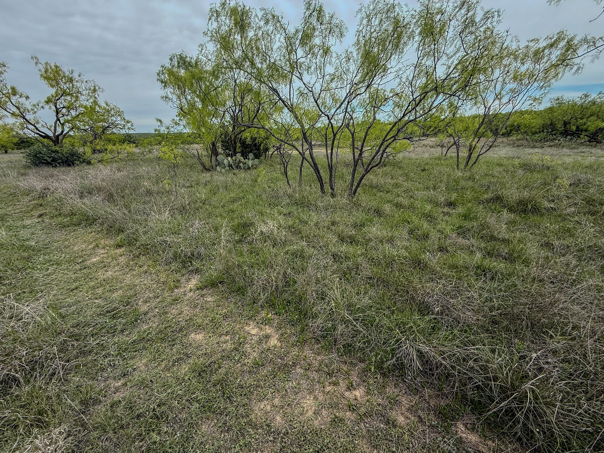 1124 County Road 322 Voss TX 76888