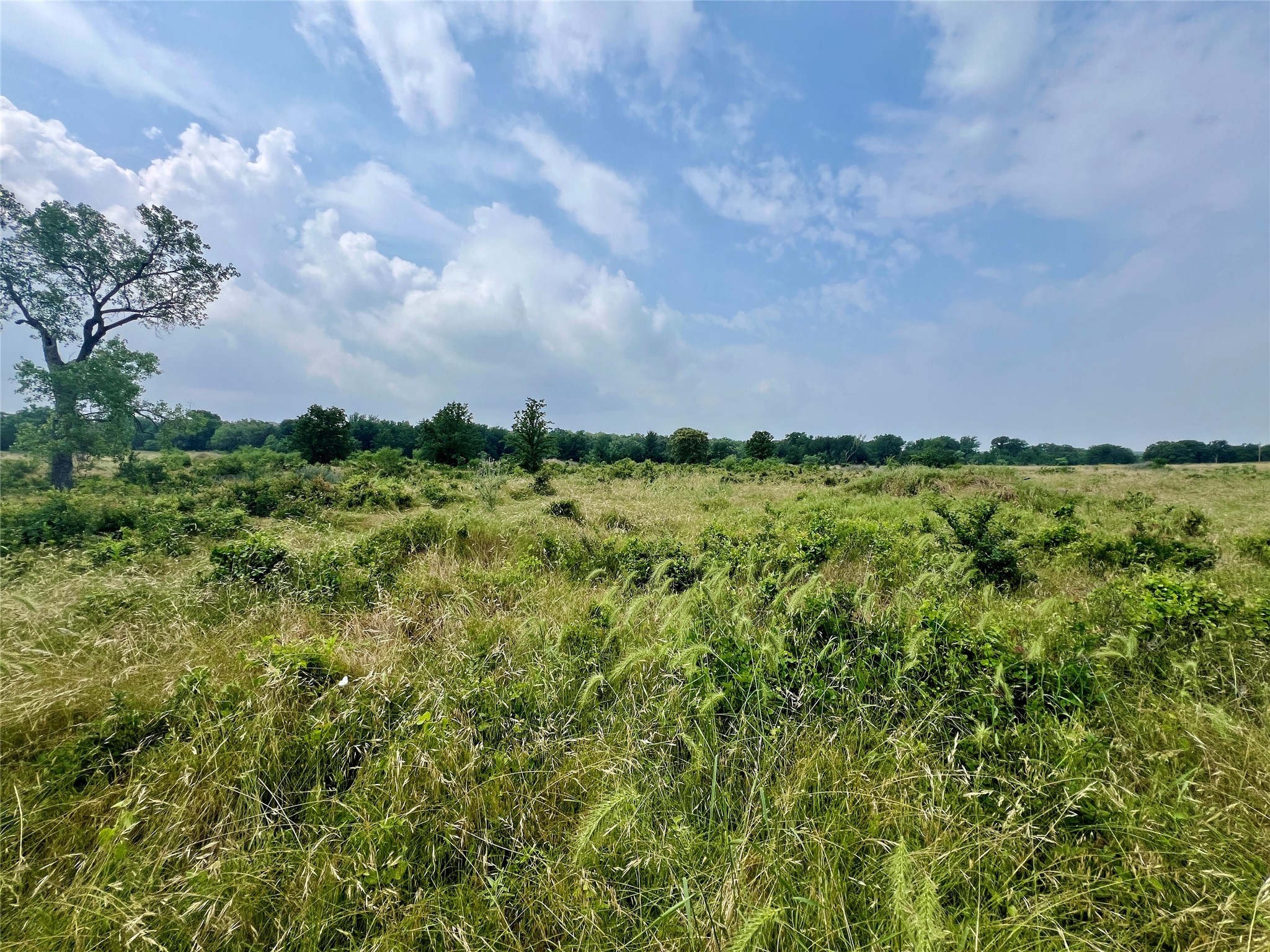 Tract 7 S. Ranch Drive Graham TX 76450