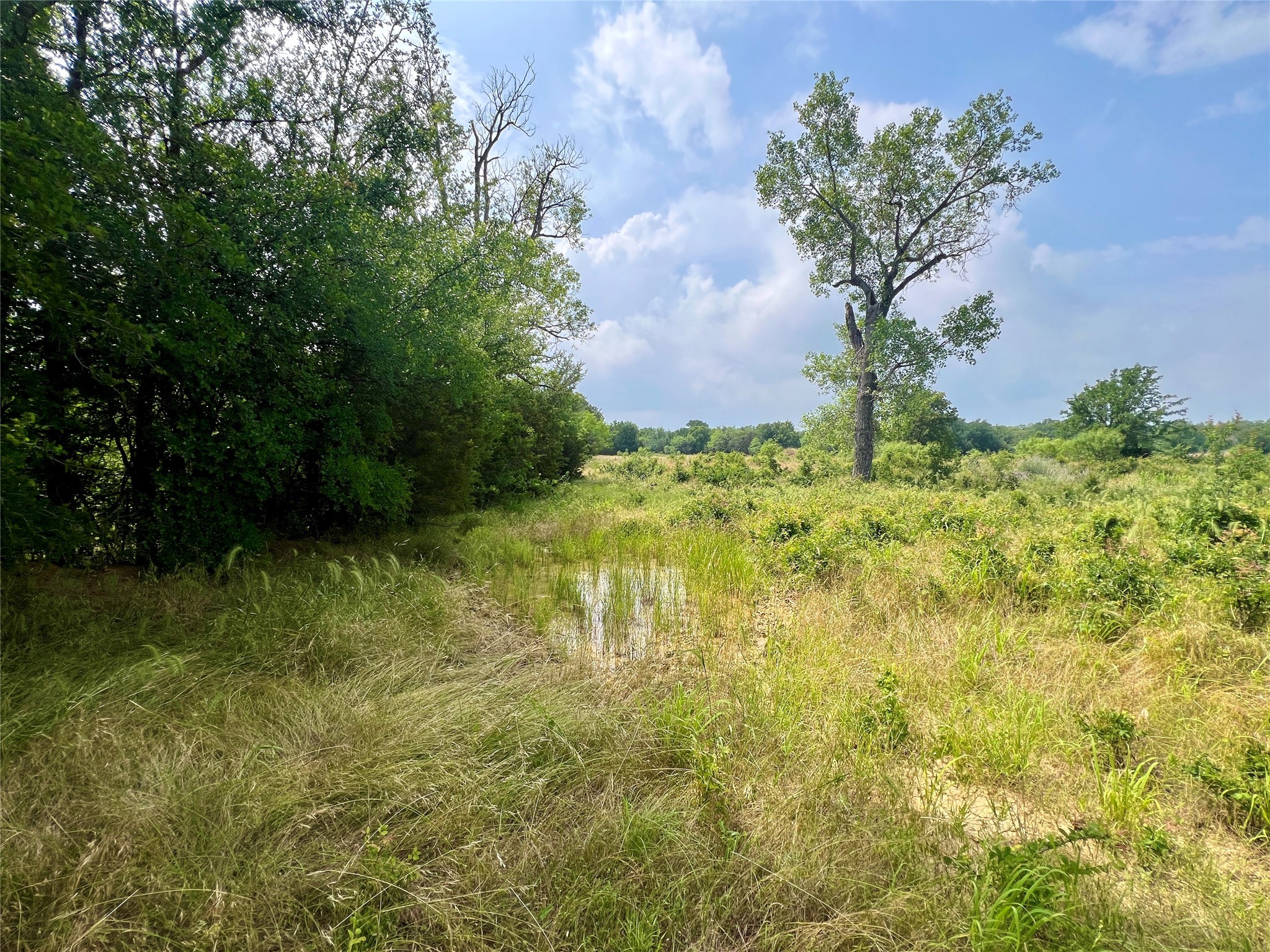 Tract 7 S. Ranch Drive Graham TX 76450