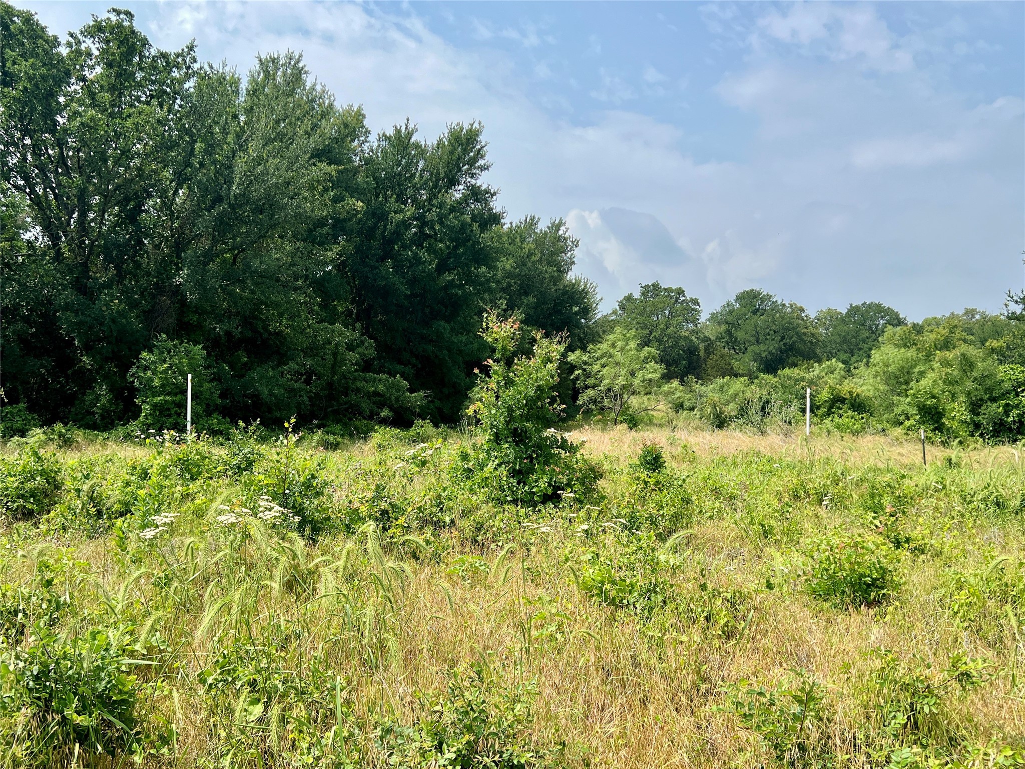 Tract 7 S. Ranch Drive Graham TX 76450