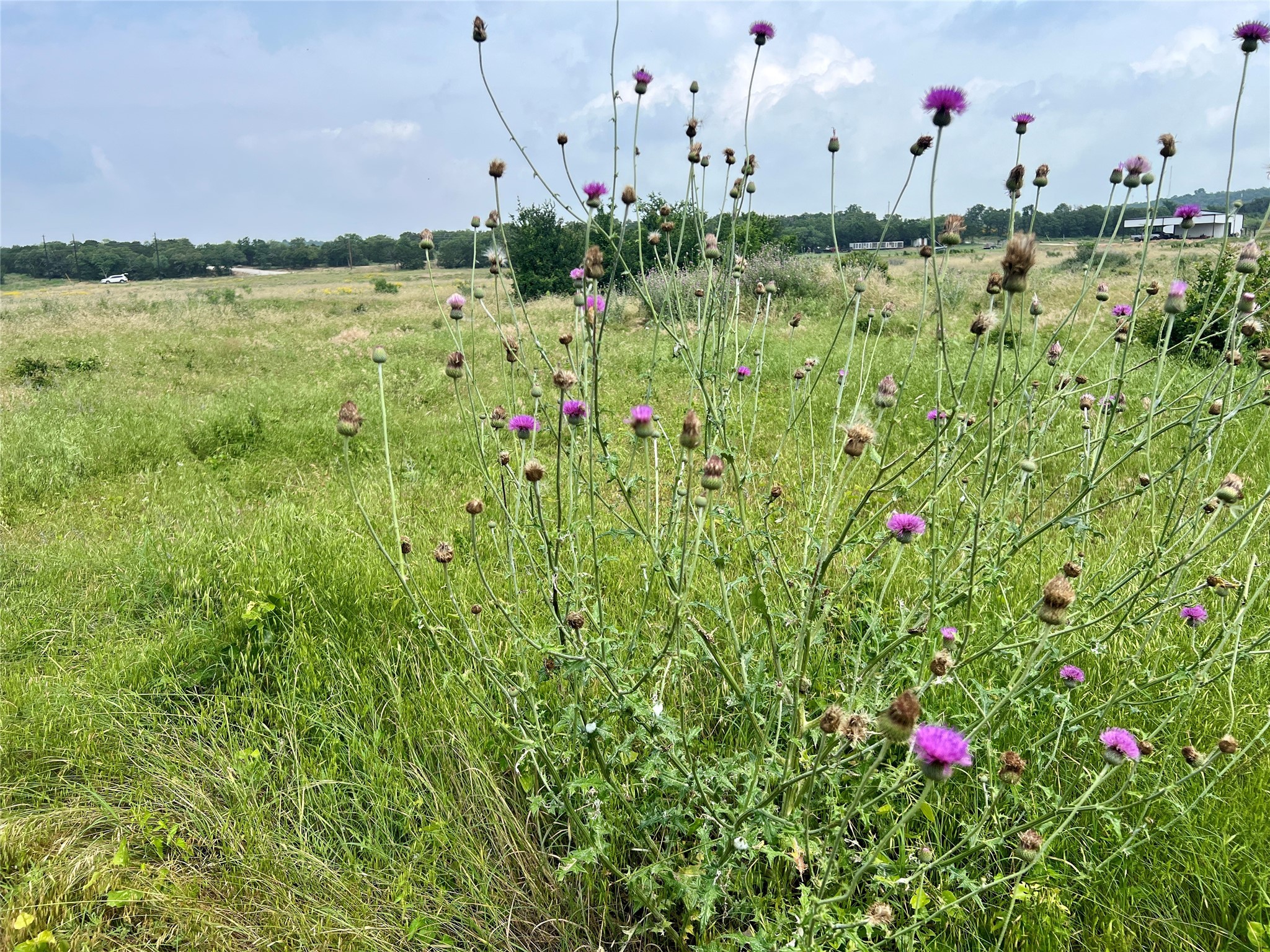 Tract 7 S. Ranch Drive Graham TX 76450