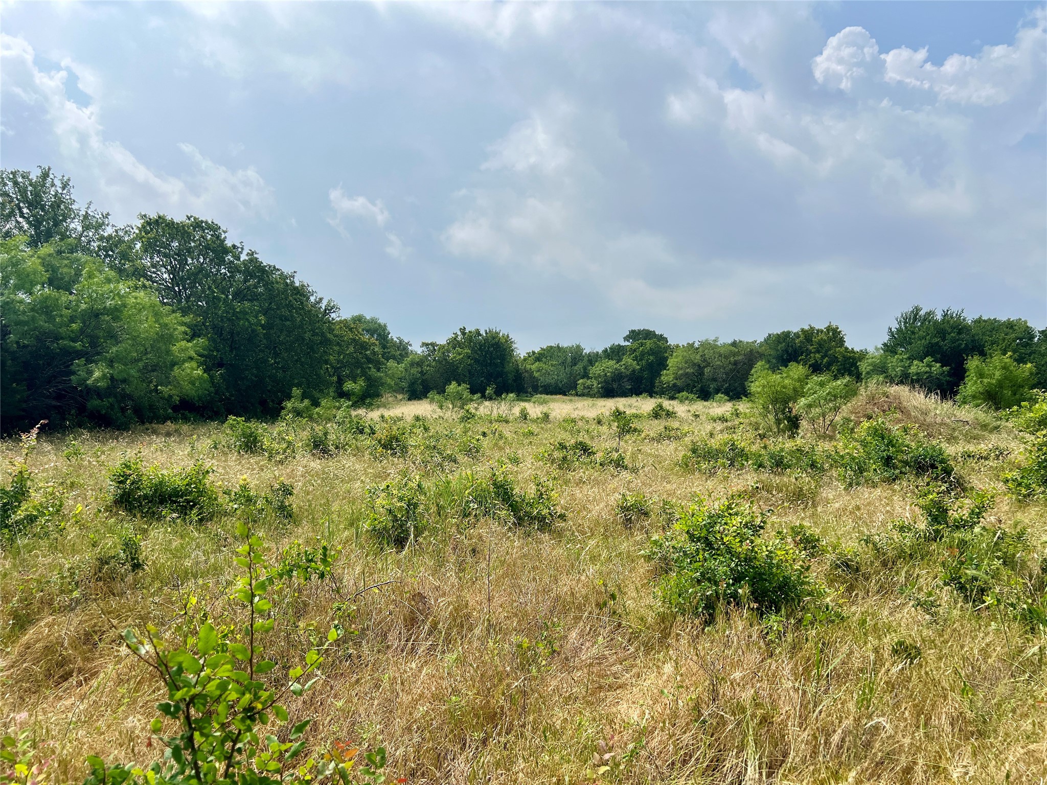 Tract 7 S. Ranch Drive Graham TX 76450