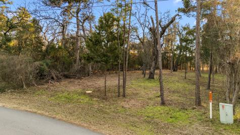 16029 Cumberland Way Bullard TX 75757