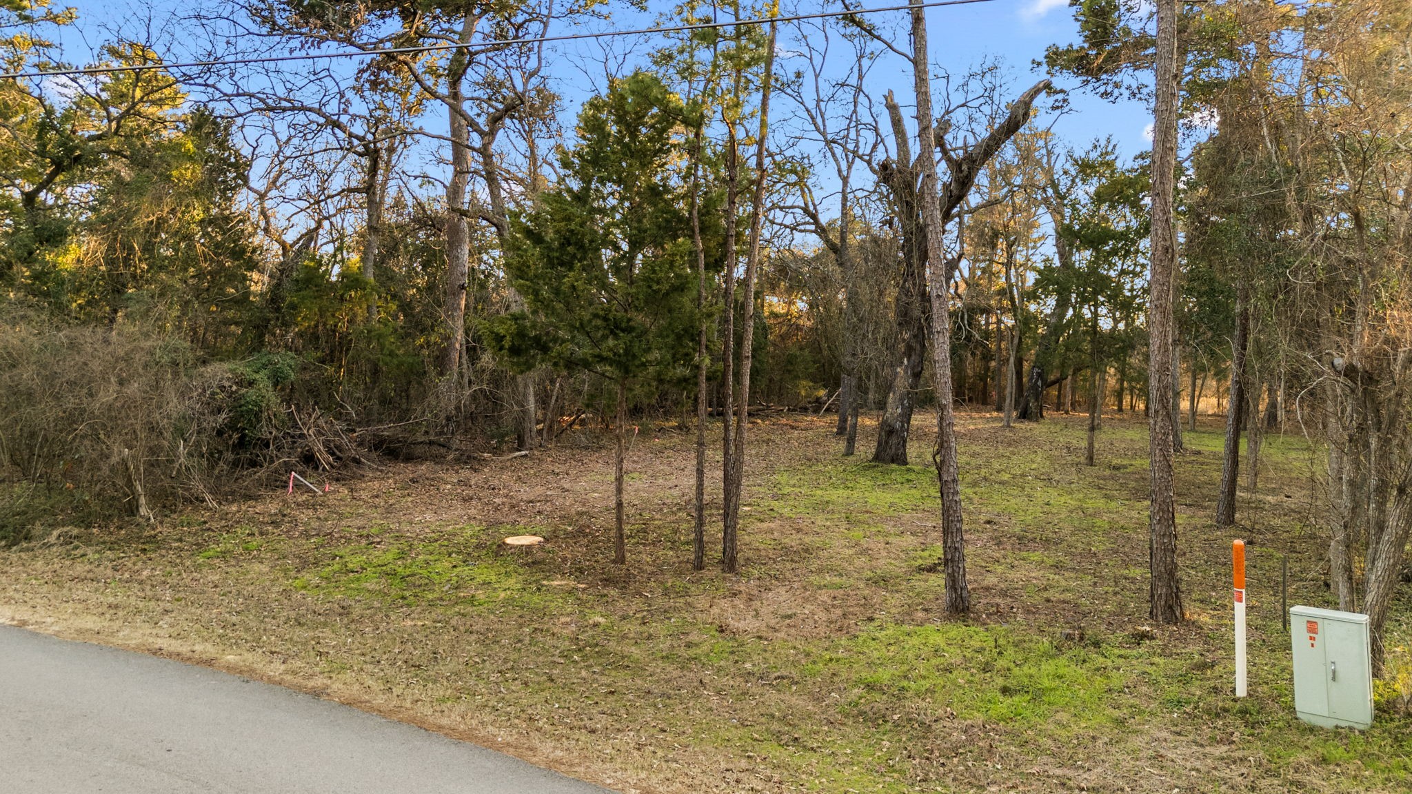 16029 Cumberland Way Bullard TX 75757