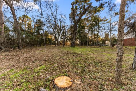 16029 Cumberland Way Bullard TX 75757
