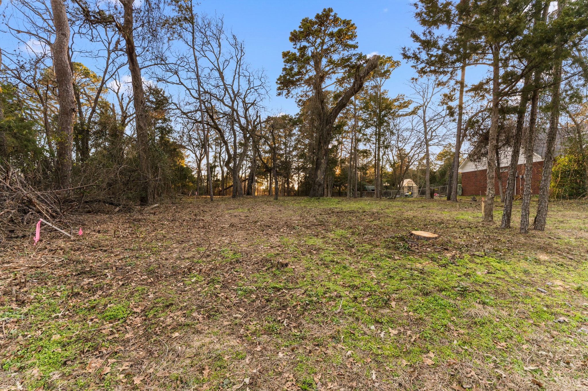 16029 Cumberland Way Bullard TX 75757