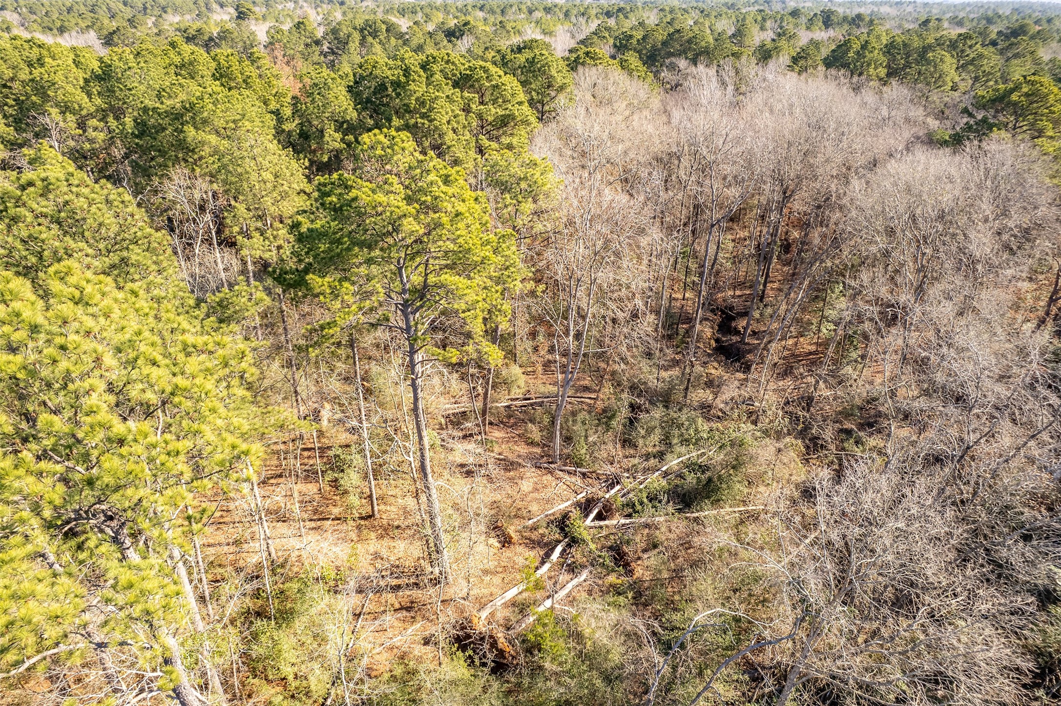 0000 Red Oak Road Marshall TX 75670