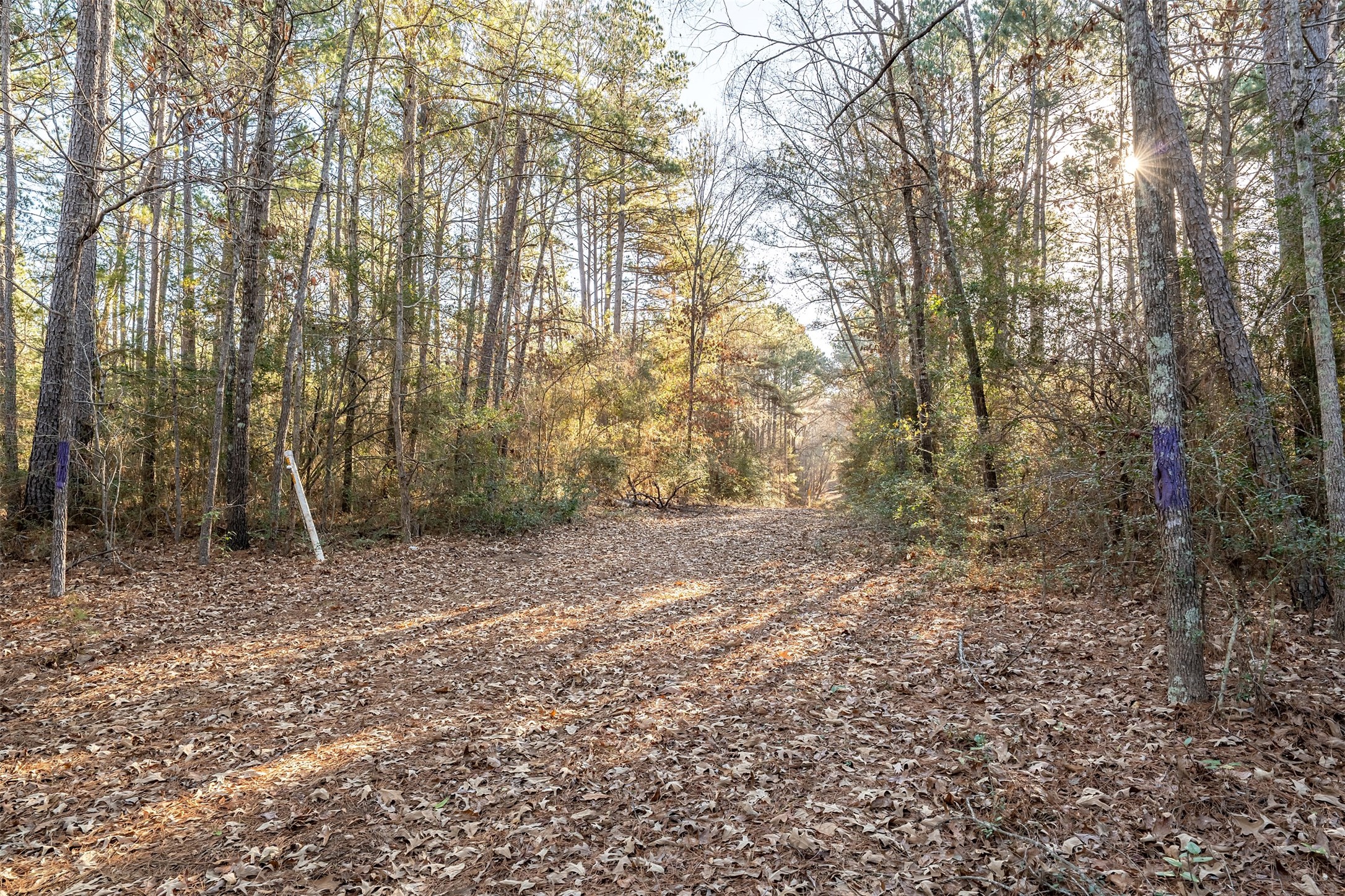 0000 Red Oak Road Marshall TX 75670